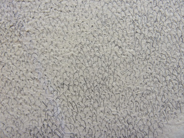 Stadion (detail); 265 x 390 cm; waxaquarel, grafiet en softpastel op zelfgemaakt papier uit katoenen lompen; 2011